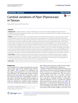 Cambial variations of Piper (Piperaceae) in Taiwan
