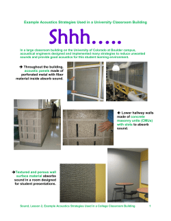 Example Acoustics Strategies in a University