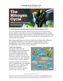 Ammonia in the Nitrogen Cycle