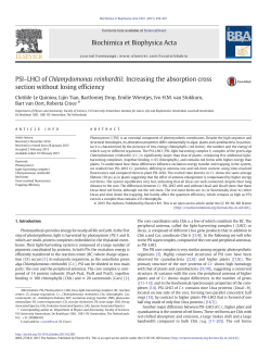 PSI-LHCI of Chlamydomonas reinhardtii: Increasing the absorption