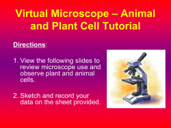 Virtual Microscope – Animal and Plant Cells