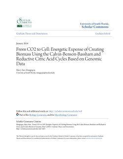 From CO2 to Cell - Scholar Commons