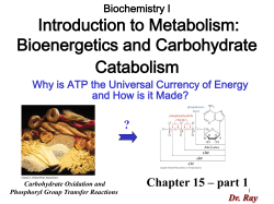 Metabolic Energy