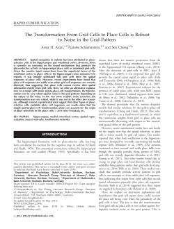 The transformation from grid cells to place cells is robust to - dbs-lin
