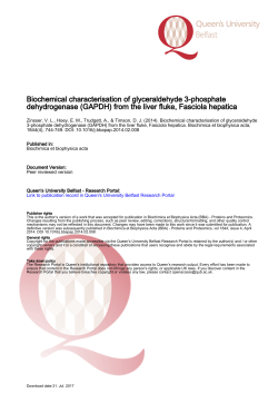 Biochemical characterisation of glyceraldehyde 3-phosphate