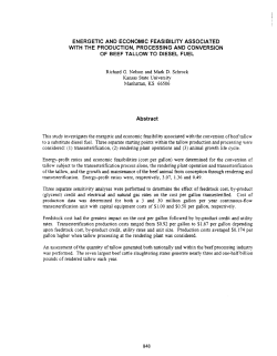 Energetic and Economic Feasibility Associated with the Production