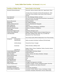 Foods, Edible Plant Families &ndash; An Excerpt (a tiny