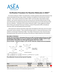 Verification Procedure for Reactive Molecules in