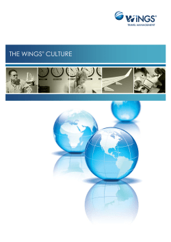 The Wings Culture: Every team member`s action defines the wings