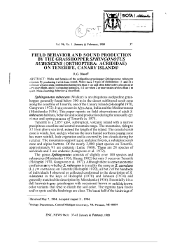 field behavior and sound production by the grasshopper