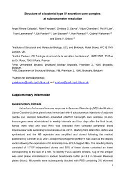 Structure of a bacterial type IV secretion core complex at