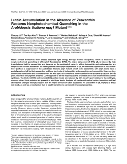 Lutein Accumulation in the Absence of Zeaxanthin