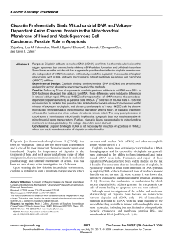 Dependent Anion Channel Protein in the Mitochondrial Membrane