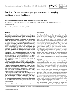 Sodium fluxes in sweet pepper exposed to