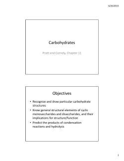 Carbohydrates Objectives