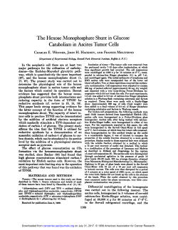 The Hexose Monophosphate Shunt in Glucose