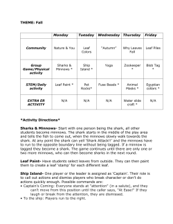 Fall - Whatcom Family YMCA