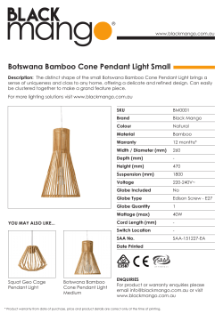 Botswana Bamboo Cone Pendant Light Small
