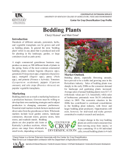 Bedding Plants - University of Kentucky
