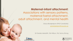 Maternal Postnatal Attachment Scale