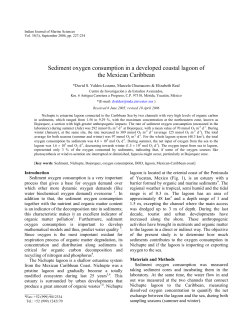 Sediment oxygen consumption in a developed coastal