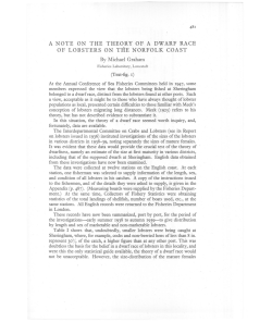 a note on the theory of a dwarf race of lobsters on the