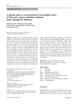 A phytase gene is overexpressed in root nodules cortex of