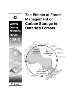 The Effects of Forest Management on Carbon Storage in Ontario`s