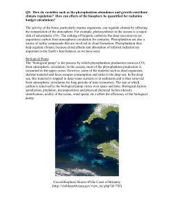 How can the marine biota regulate climate