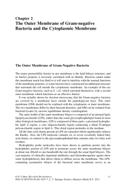 The Outer Membrane of Gram-negative Bacteria