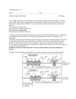 Term 2 AP Biology Quiz 1 T2