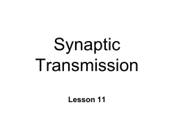 Convert - public.coe.edu