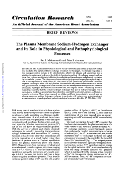 BRIEF REVIEWS The Plasma Membrane Sodium