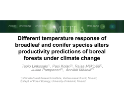 Different temperature response of broadleaf and conifer species
