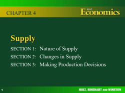 Chapter 4 Supply