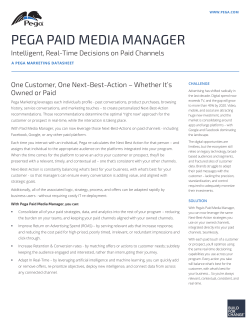 PEGA PAID MEDIA MANAGER