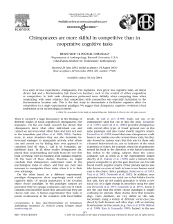 Chimpanzees are more skilful in competitive than