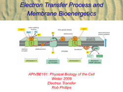 Coarse-Graining of Macromolecules