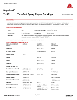 Nap-Gard 7-1861 Two-Part Epoxy Repair Cartridge