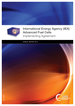 International Energy Agency (IEA) Advanced Fuel Cells
