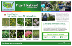 Help monitor these 10 native plants