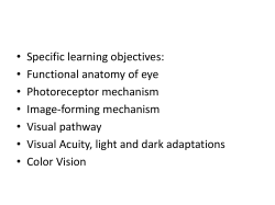 eye final - Copy