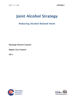 Joint Alcohol Strategy - Hastings District Council