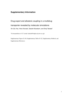 Supplementary Information Drug export and