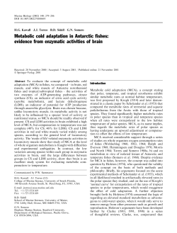 Metabolic cold adaptation in Antarctic ®shes: evidence from
