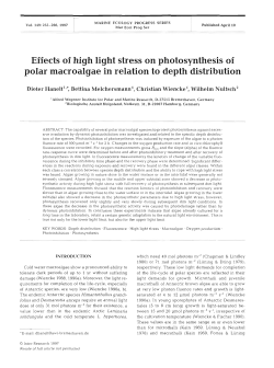 Effects of high light stress on photosynthesis of