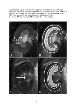 Statins can ameliorate renal function after acute renal failure in a rat