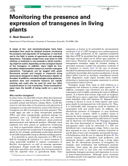 Monitoring the presence and expression of transgenes in living plants