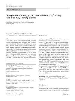 Nitrogen use efficiency (NUE) - UTSC