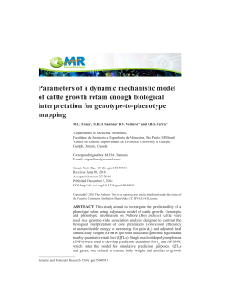 Parameters of a dynamic mechanistic model of cattle growth retain